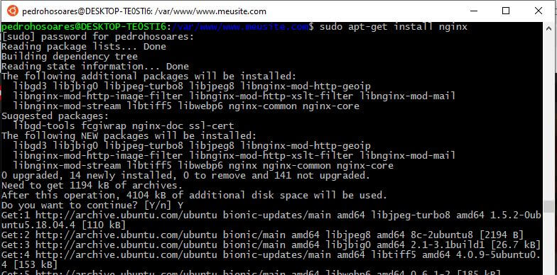 Como instalar nginx no linux