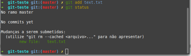 Git add e verificando o status do diretório.