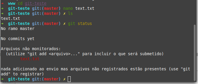 Comando git status